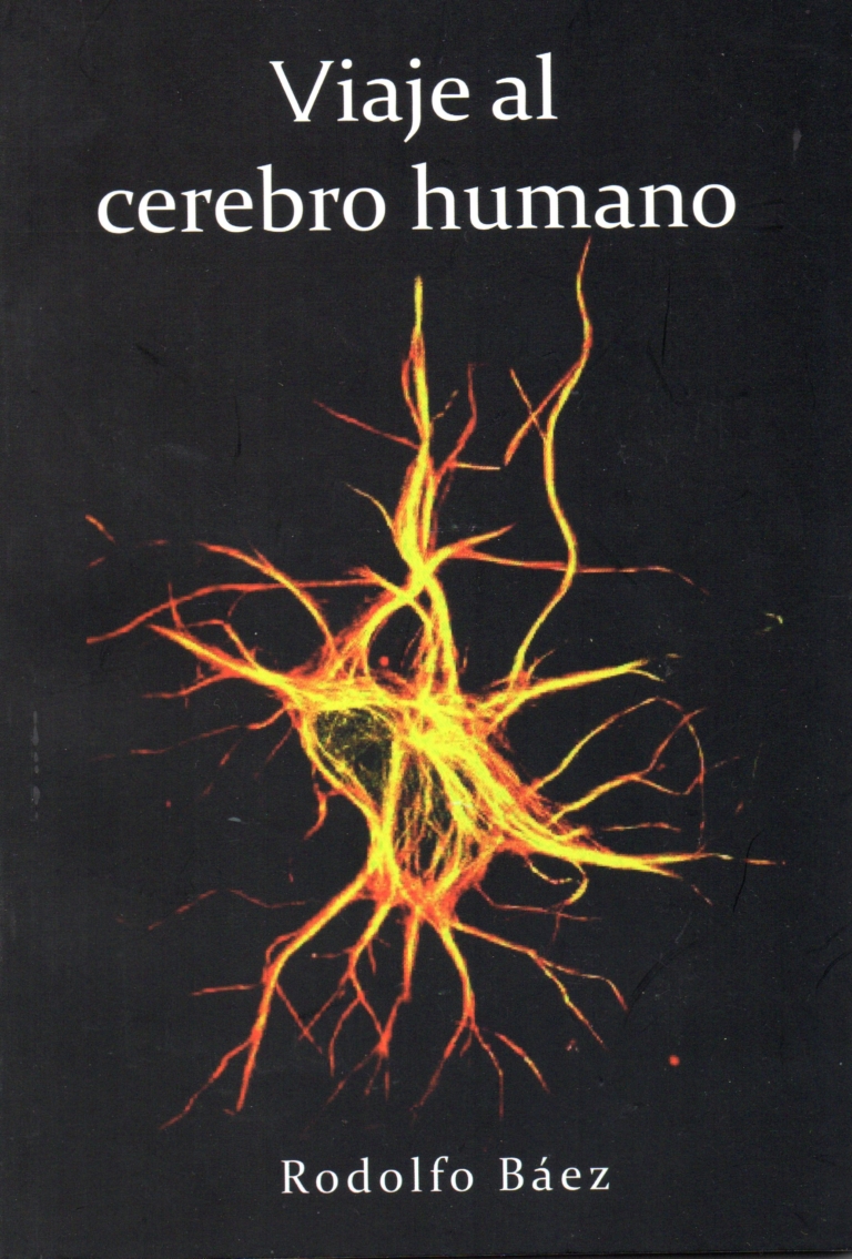 Viaje al cerebro humano