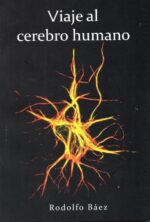 Viaje al cerebro humano
